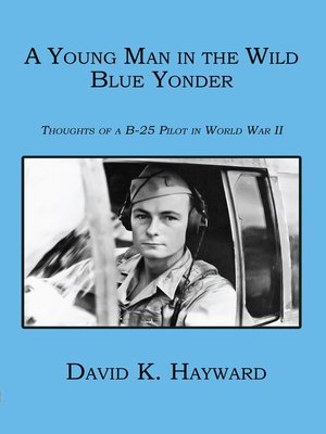 cover image of A Young Man in the Wild Blue Yonder